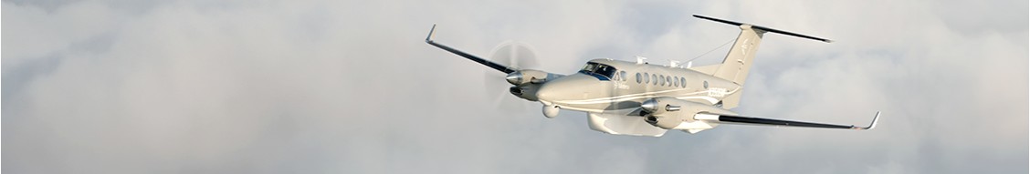 Metrea cover image