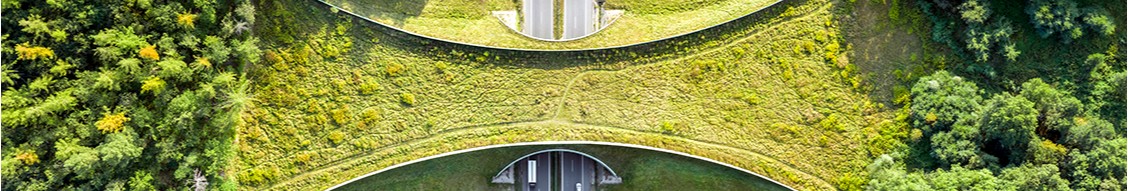 Bentley Systems cover image