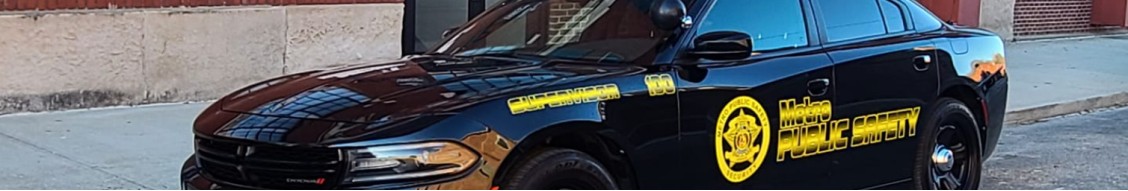 Metro Public Safety and Investigations cover image