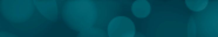 GASTON COUNTY SCHOOLS cover image