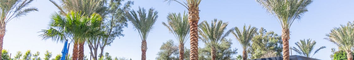 Moon Valley Nurseries cover image