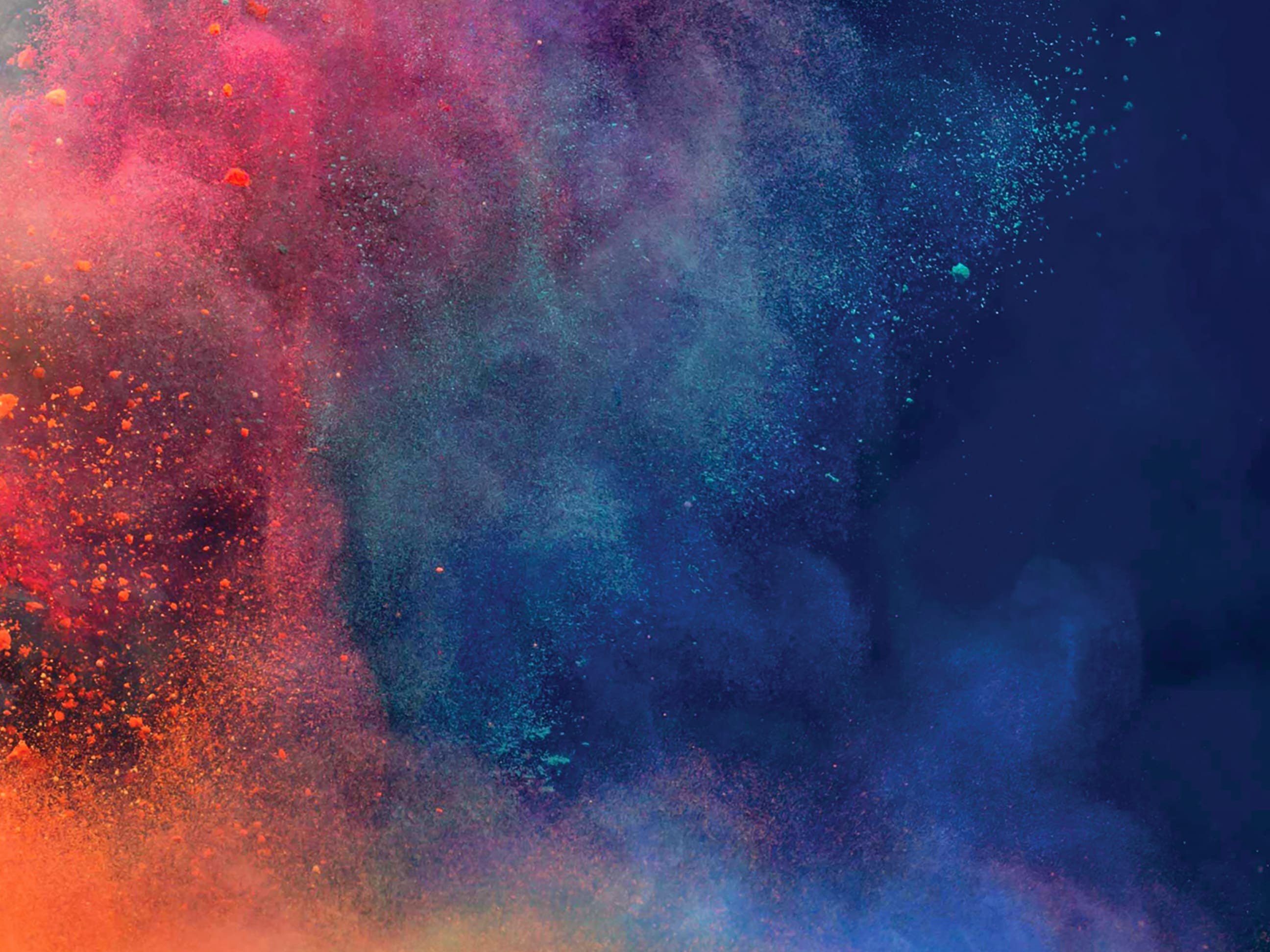 Undivided (Closed) cover image