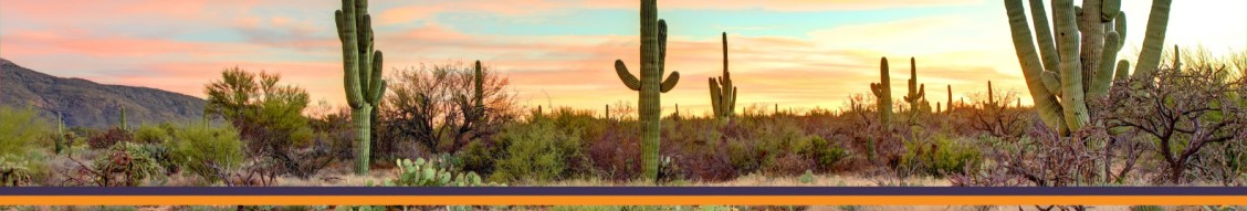 Community Management Holdings (CMH) cover image