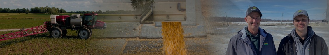 Keystone Cooperative cover image