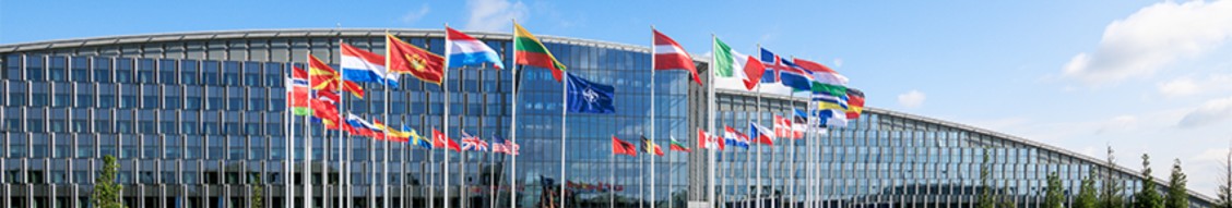 NATO cover image
