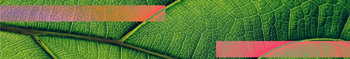 Enveda cover image