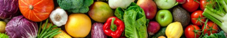 Teddy Bear Fresh Produce cover image