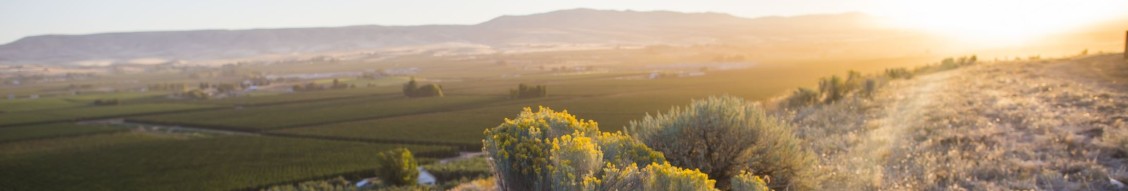 Yakima County Government cover image