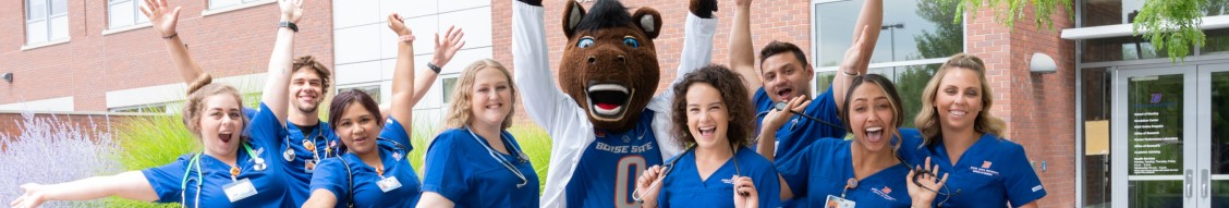 Boise State University School of Nursing cover image