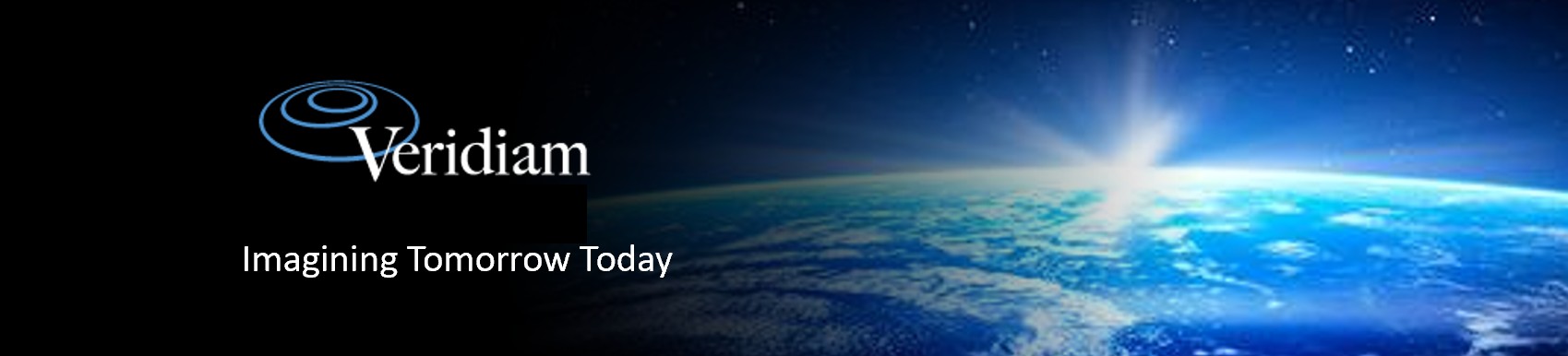 Veridiam cover image