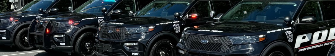 PROFESSIONAL POLICE SERVICES, INC. cover image