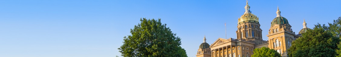 State of Iowa - Executive Branch cover image