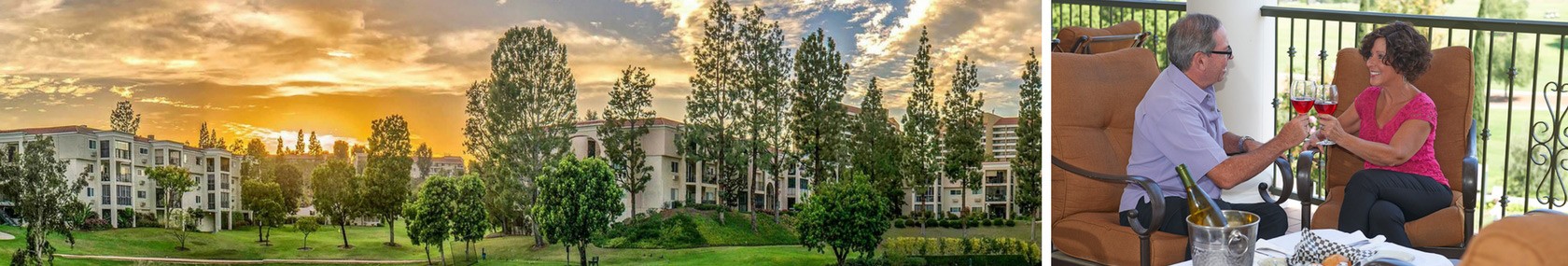 Village Management Services, Inc. cover image