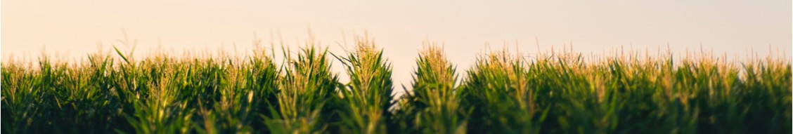 Farmers National Company cover image