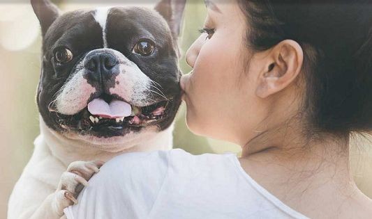 Passionately Pets cover image