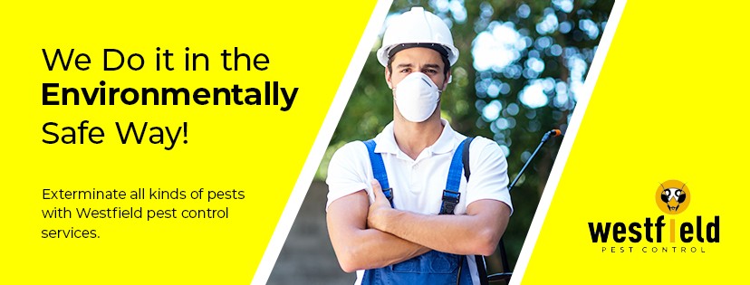 Westfield Pest Control Services cover image