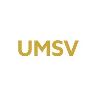 University of Mount Saint Vincent ABSN logo