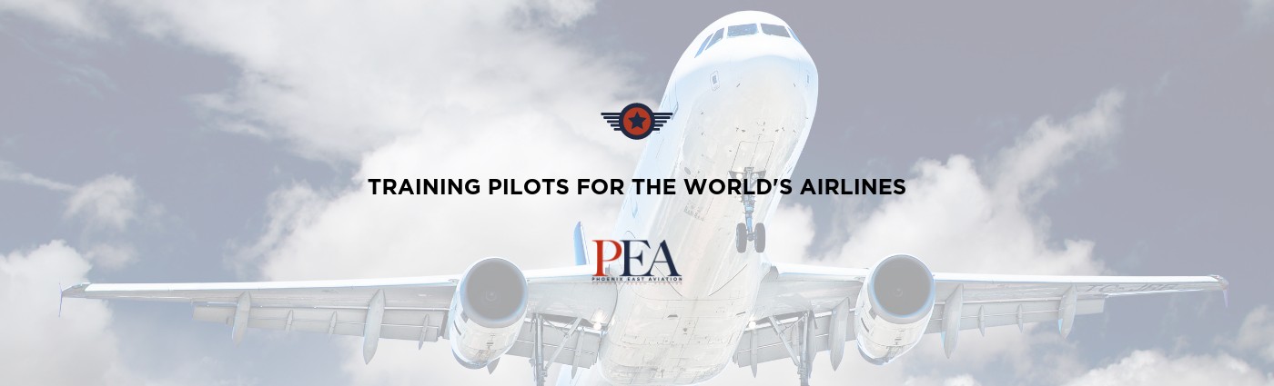 Phoenix East Aviation cover image
