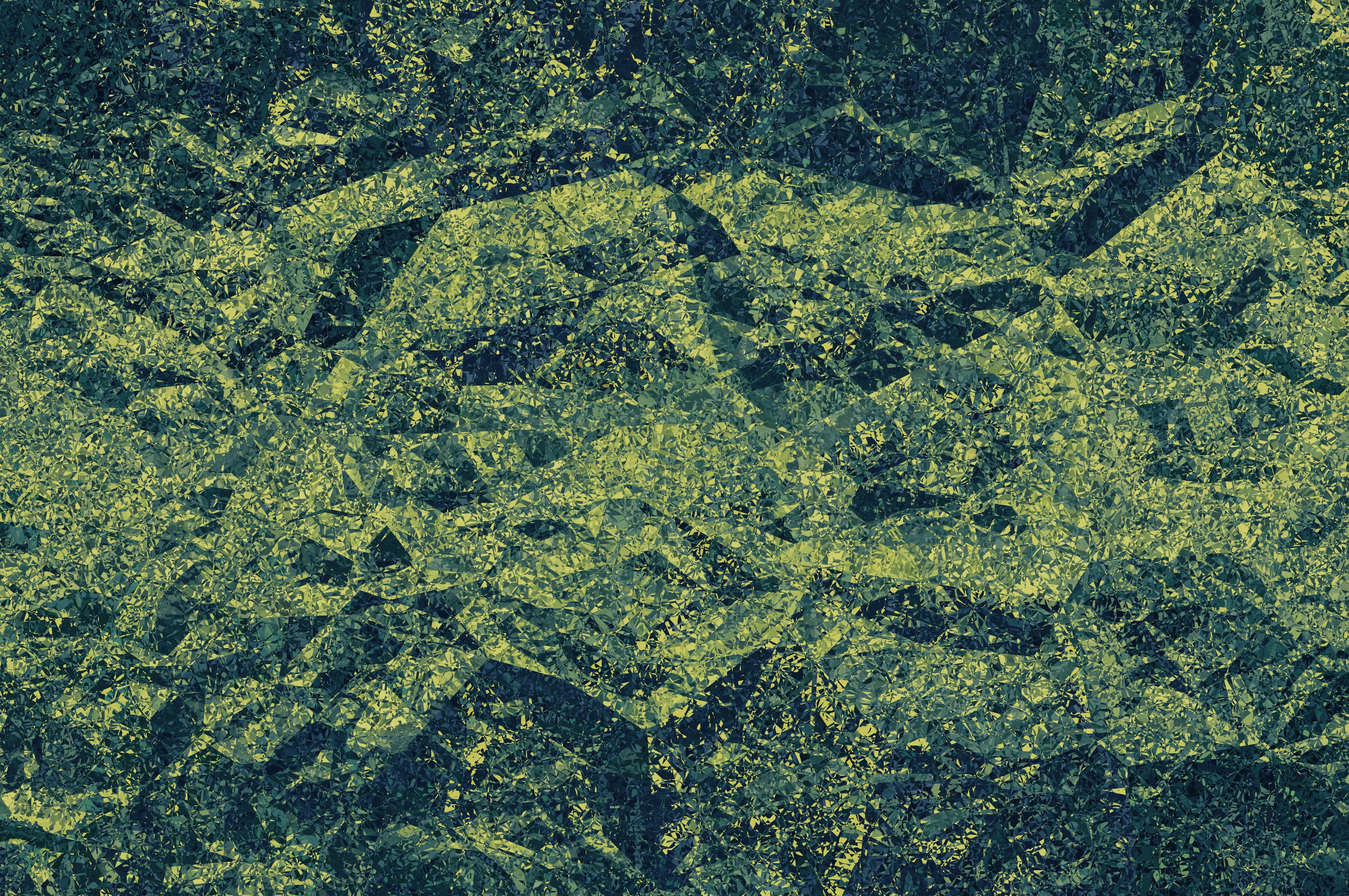 Overstory cover image