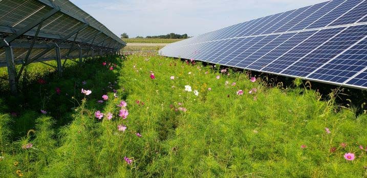 Wabash Valley Power Alliance cover image