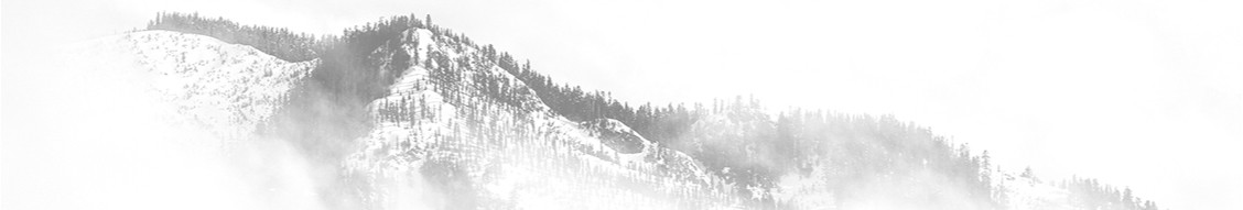 Mountain Temp Services, LLC and MTS Mobile Staffing Services cover image