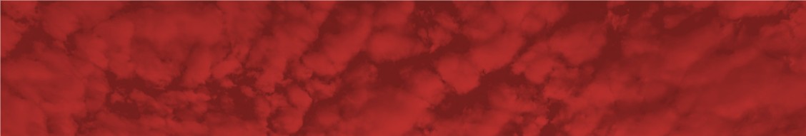 Chinook Systems Inc. cover image