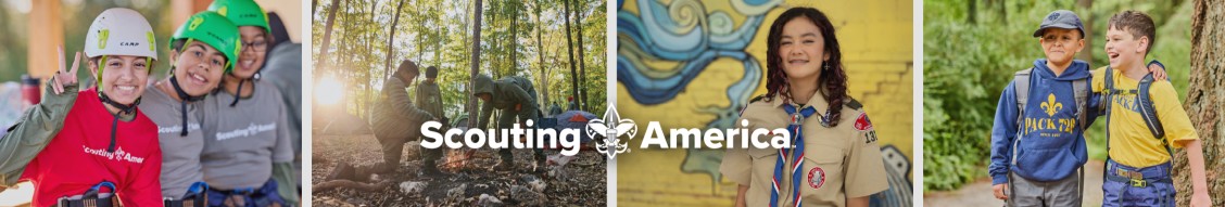 Scouting America cover image