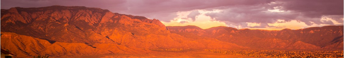UNM Medical Group, Inc. cover image