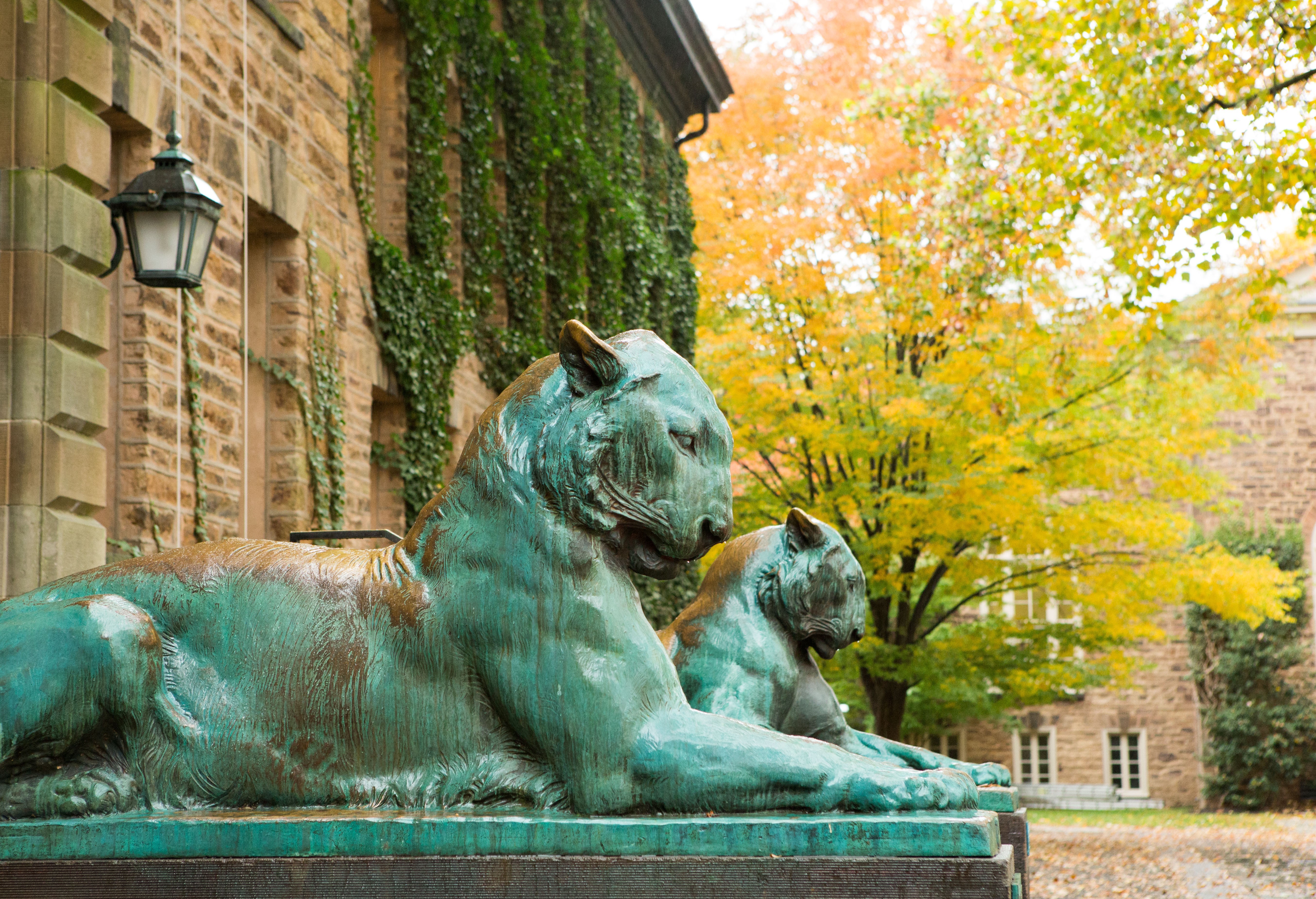 Princeton University Investment Company cover image