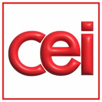 The Center for Educational Innovation logo