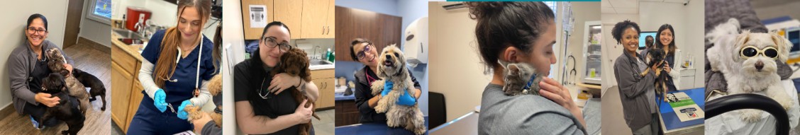 Veterinary Care Group cover image
