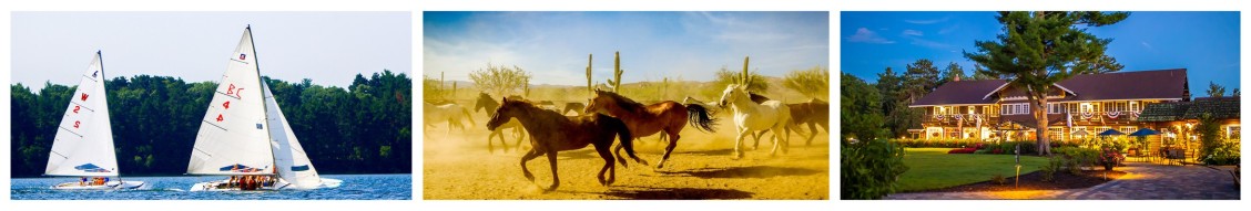 Cote Hospitality cover image