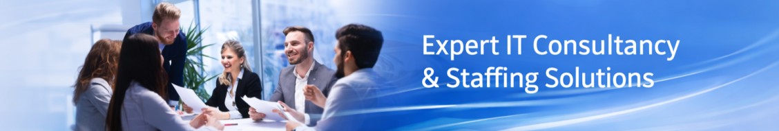 Siri InfoSolutions, Inc. cover image