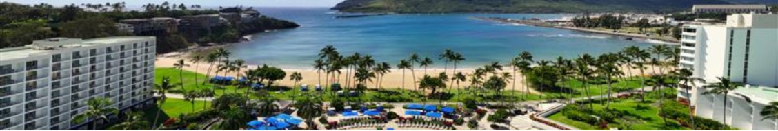 Sonesta International Hotels cover image