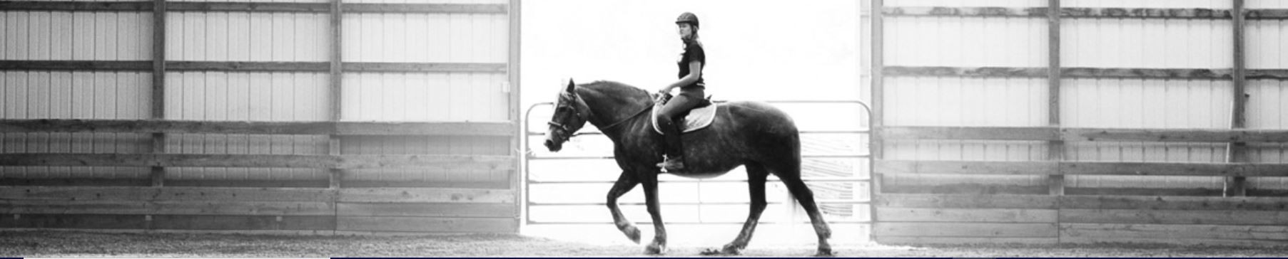 CREEKSIDE EQUESTRIAN cover image