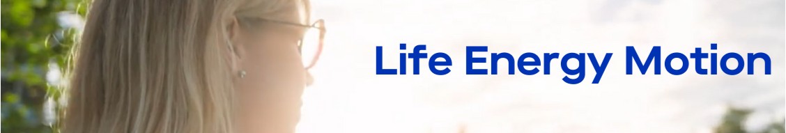 LEM cover image