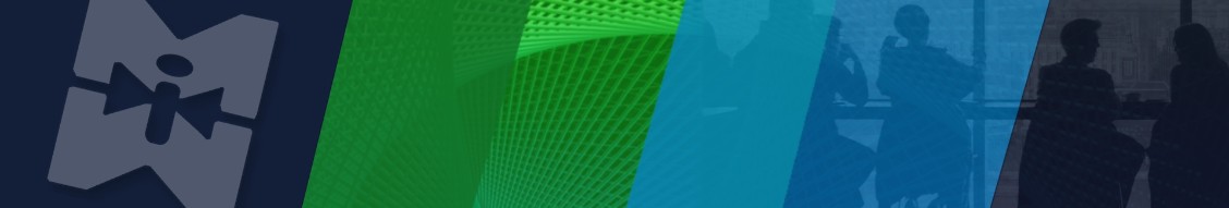 Mitchell Martin Inc. cover image