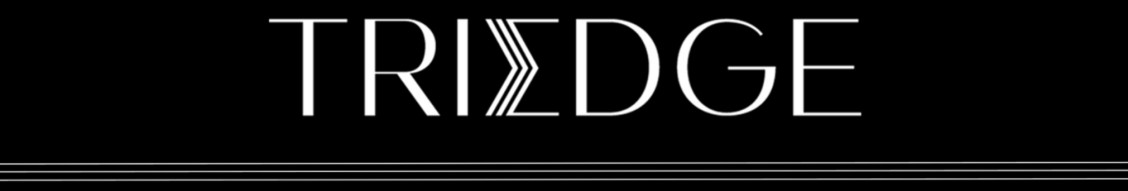 TriEdge Investments cover image