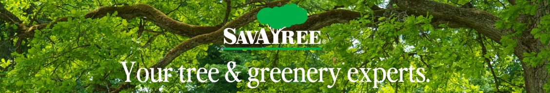 SavATree cover image