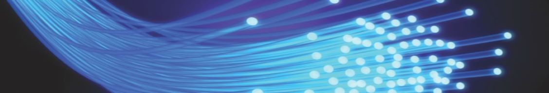 Fiber Network Services Inc. cover image