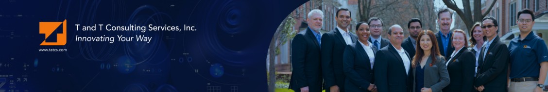T and T Consulting Services, Inc. cover image