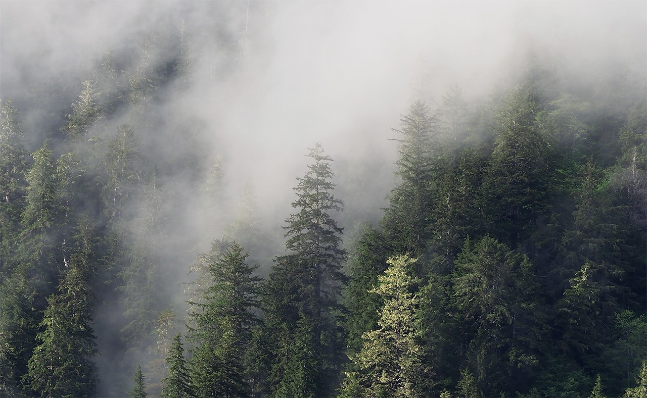 Credit Union 1 Alaska cover image