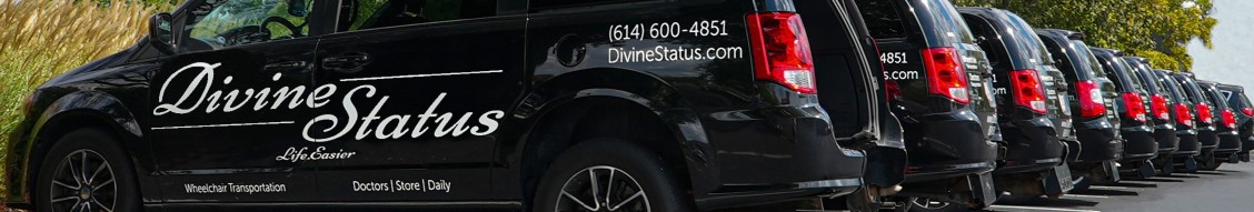 Divine Status cover image