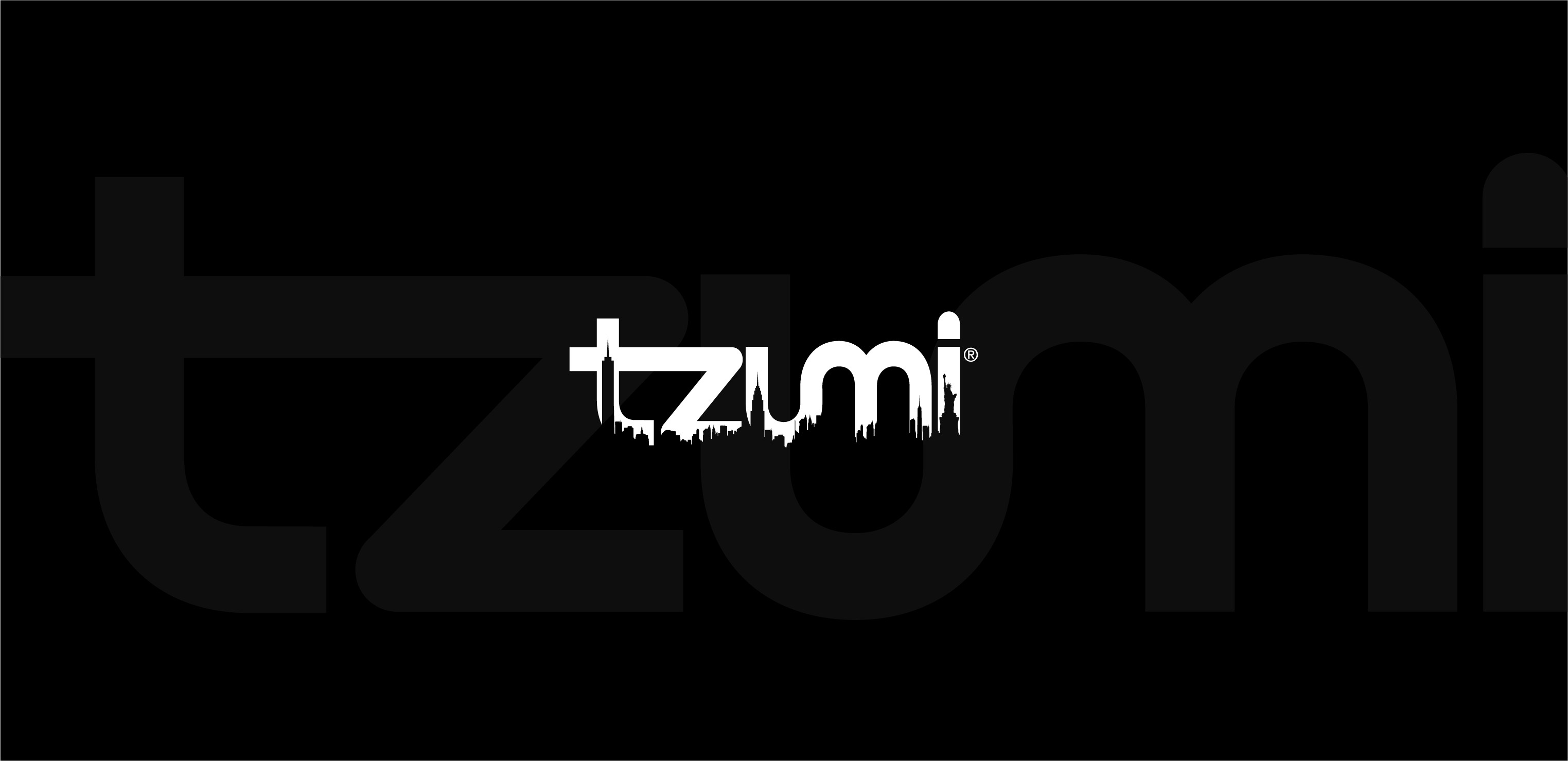 tzumi electronics cover image