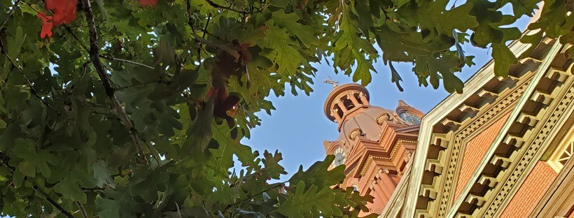 Coweta County Government cover image