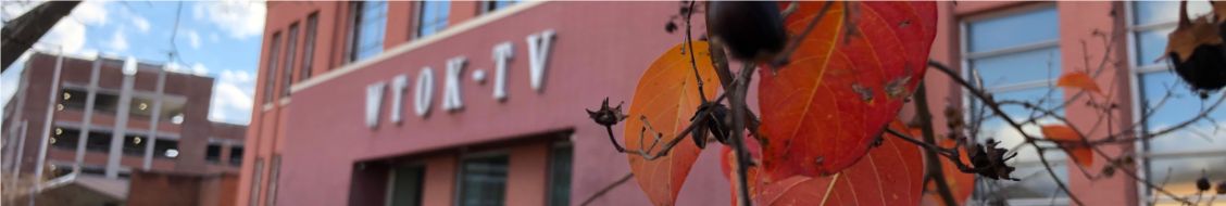 WTOK-TV cover image