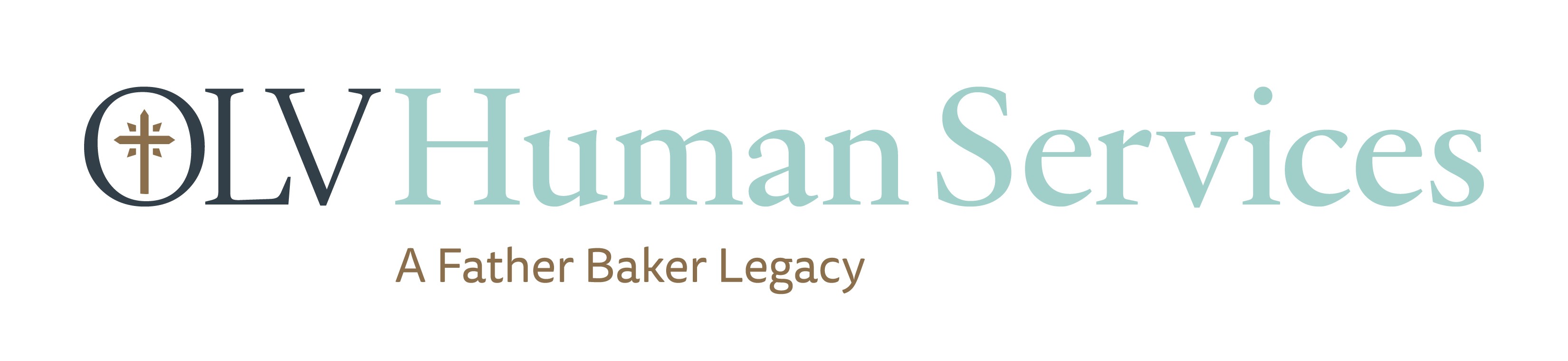 OLV Human Services cover image