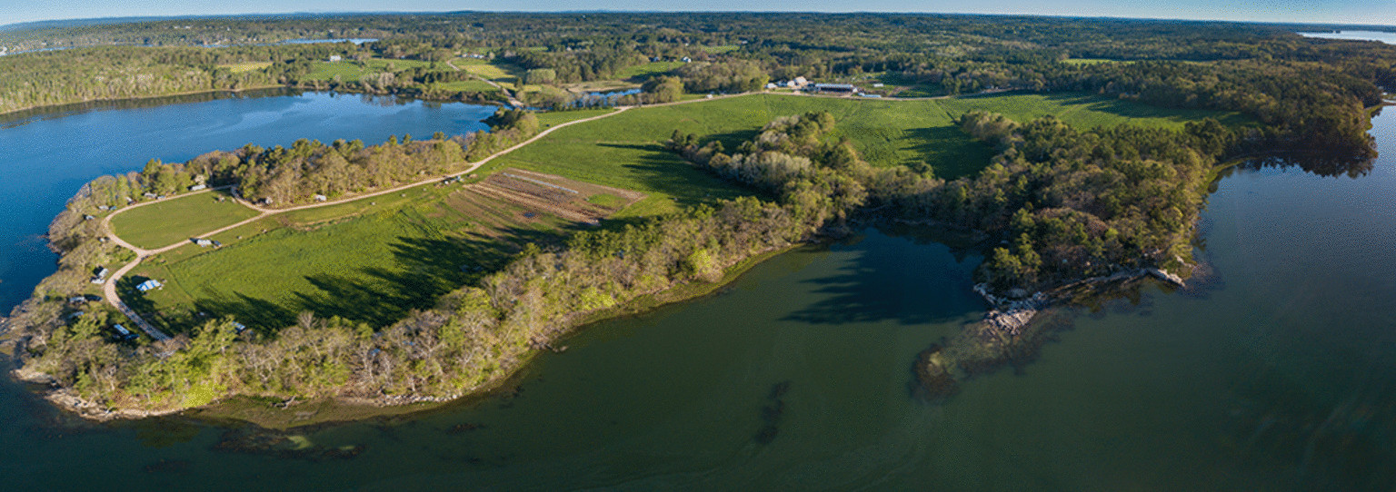 Wolfe's Neck Center for Agriculture & the Environment cover image