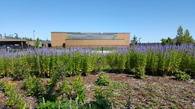 WhidbeyHealth cover image