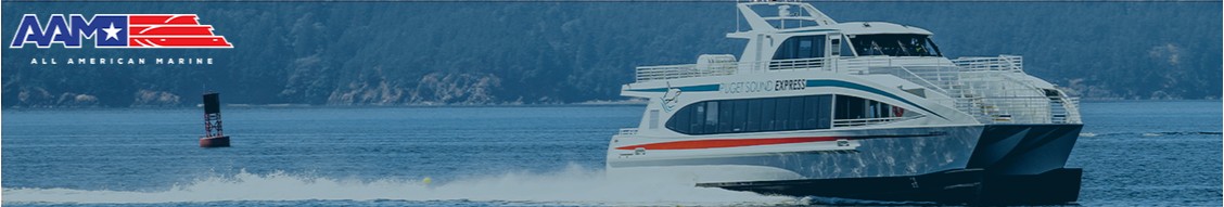 All American Marine, Inc cover image